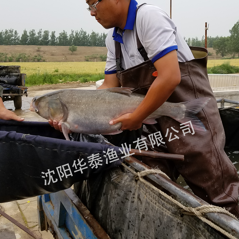 &#20048;&#40060;&#25163;&#26426;&#30331;&#24405;&#20837;&#21475;&#45;&#20048;&#40060;&#65288;&#20013;&#22269;&#65289;